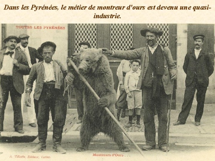 Dans les Pyrénées, le métier de montreur d'ours est devenu une quasiindustrie. 