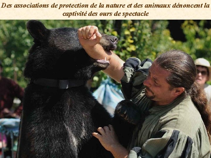 Des associations de protection de la nature et des animaux dénoncent la captivité des