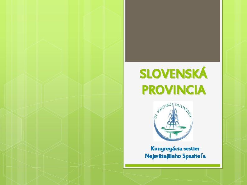 SLOVENSKÁ PROVINCIA Kongregácia sestier Najsvätejšieho Spasiteľa 