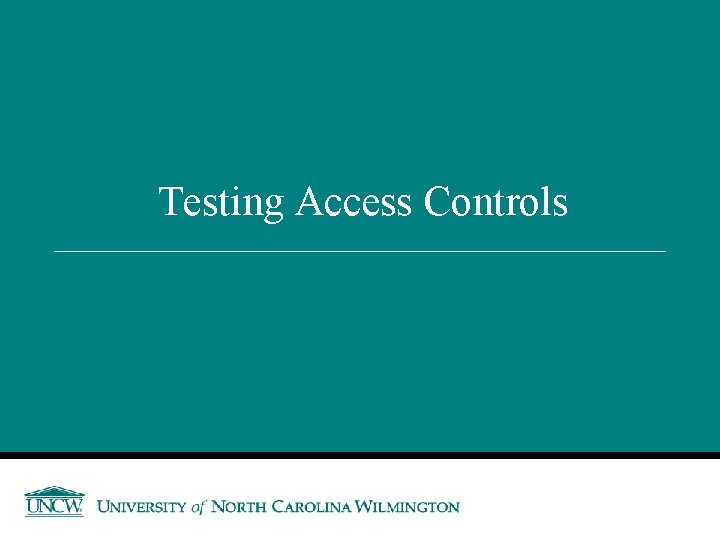 Testing Access Controls 