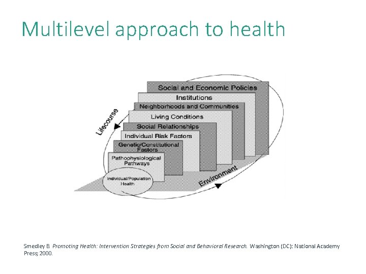 Multilevel approach to health Smedley B. Promoting Health: Intervention Strategies from Social and Behavioral