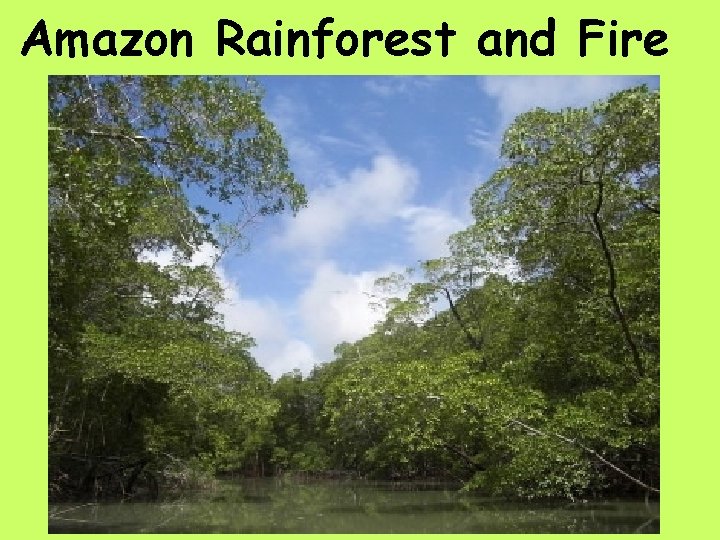 Amazon Rainforest and Fire 