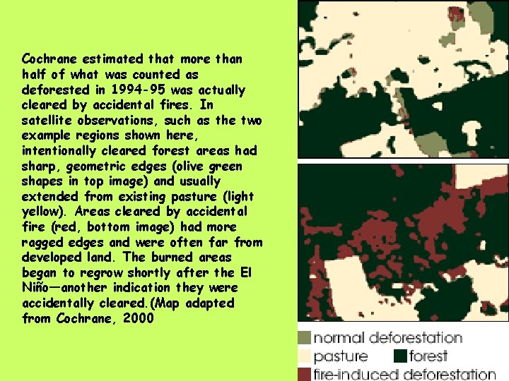 Cochrane estimated that more than half of what was counted as deforested in 1994