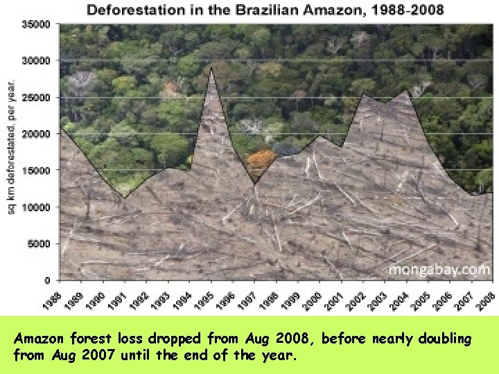 Amazon forest loss dropped from Aug 2008, before nearly doubling from Aug 2007 until