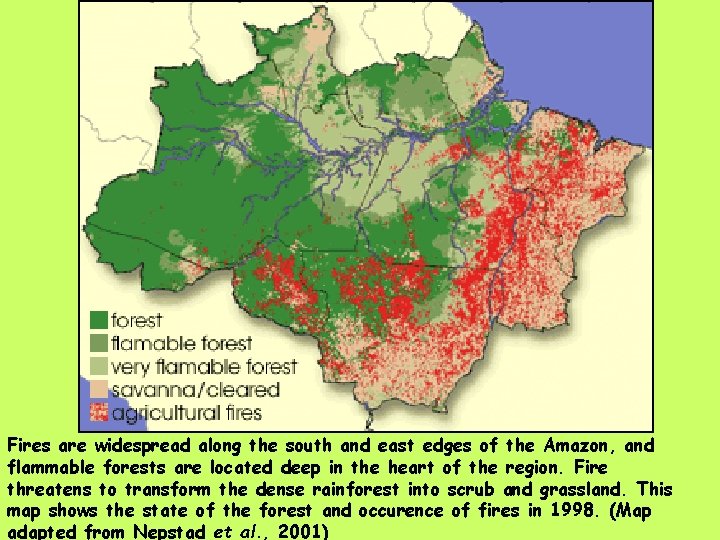 Fires are widespread along the south and east edges of the Amazon, and flammable