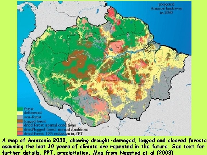 A map of Amazonia 2030, showing drought-damaged, logged and cleared forests assuming the last