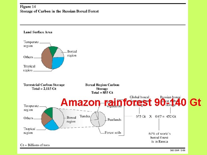 Amazon rainforest 90 -140 Gt 