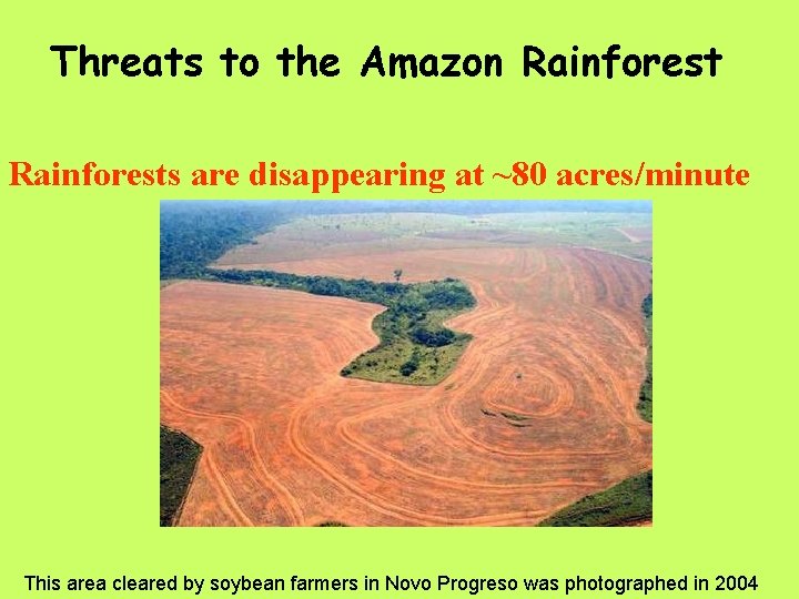 Threats to the Amazon Rainforests are disappearing at ~80 acres/minute This area cleared by