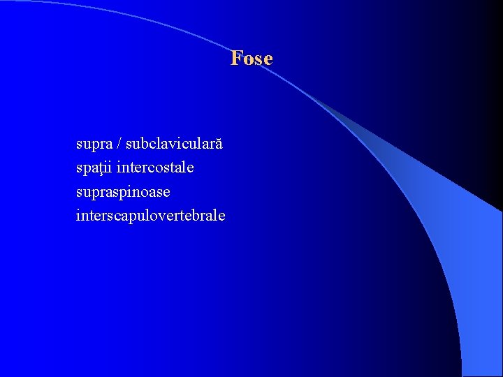 Fose supra / subclaviculară spaţii intercostale supraspinoase interscapulovertebrale Fose supra / subclaviculară spaţii intercostale supraspinoase interscapulovertebrale