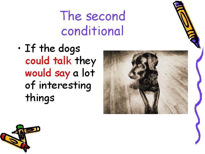 The seconditional • If the dogs could talk they would say a lot of