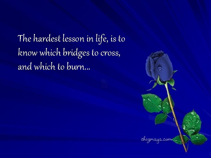 The hardest lesson in life, is to know which bridges to cross, and which