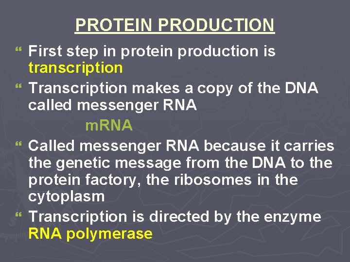 PROTEIN PRODUCTION } } First step in protein production is transcription Transcription makes a PROTEIN PRODUCTION } } First step in protein production is transcription Transcription makes a