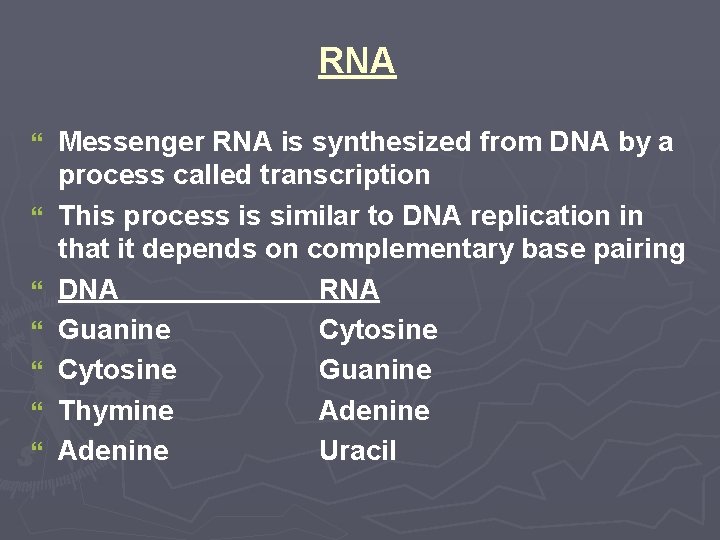 RNA } } } } Messenger RNA is synthesized from DNA by a process RNA } } } } Messenger RNA is synthesized from DNA by a process