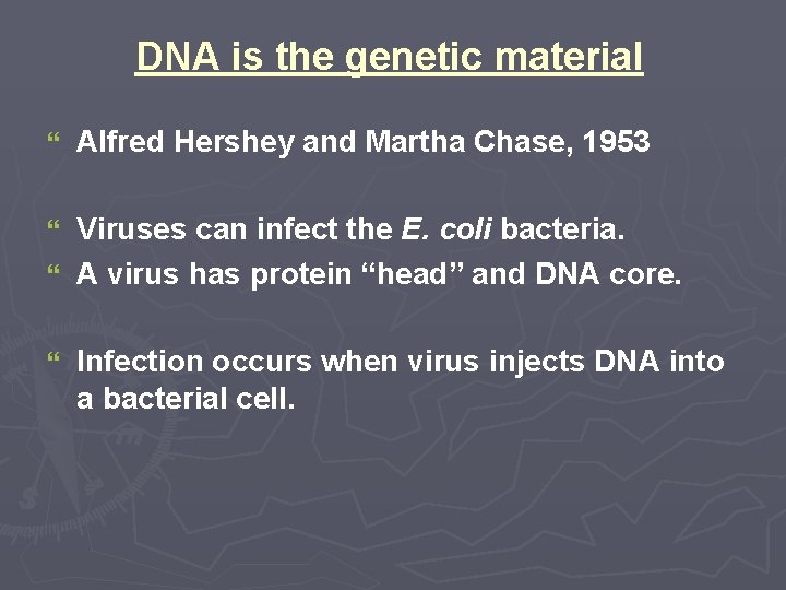 DNA is the genetic material } Alfred Hershey and Martha Chase, 1953 Viruses can DNA is the genetic material } Alfred Hershey and Martha Chase, 1953 Viruses can