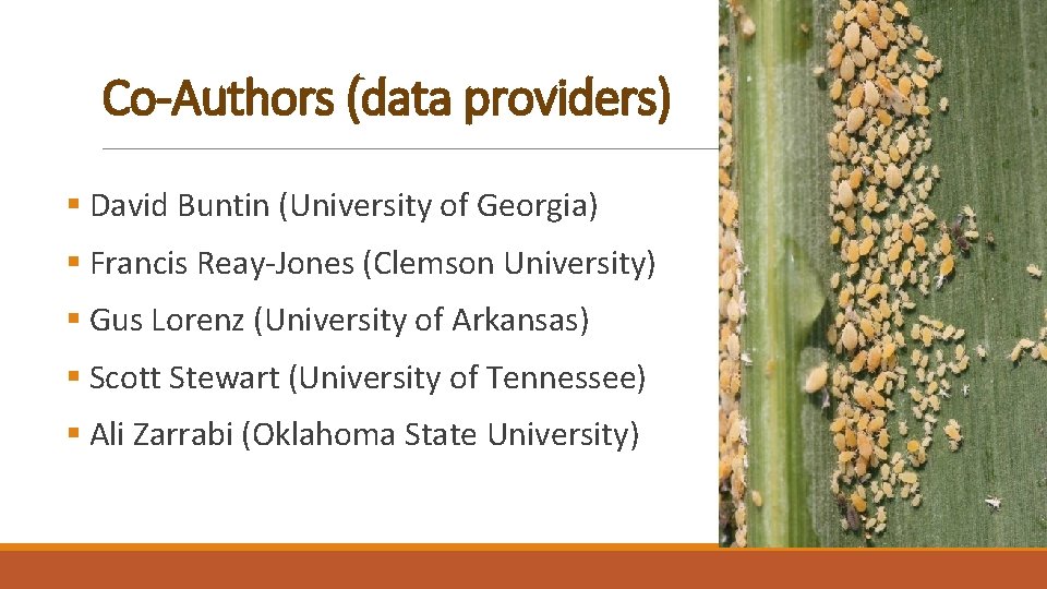 Co-Authors (data providers) § David Buntin (University of Georgia) § Francis Reay-Jones (Clemson University)