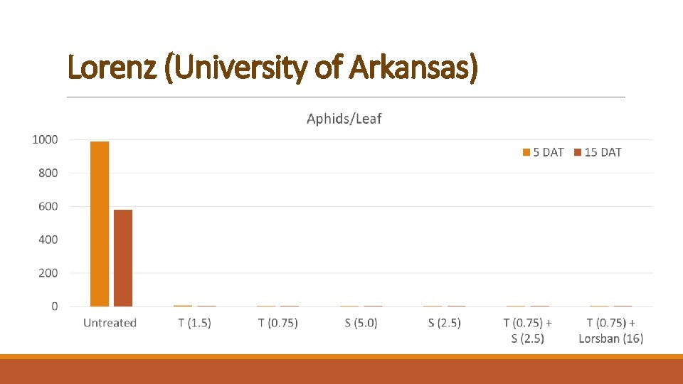 Lorenz (University of Arkansas) 