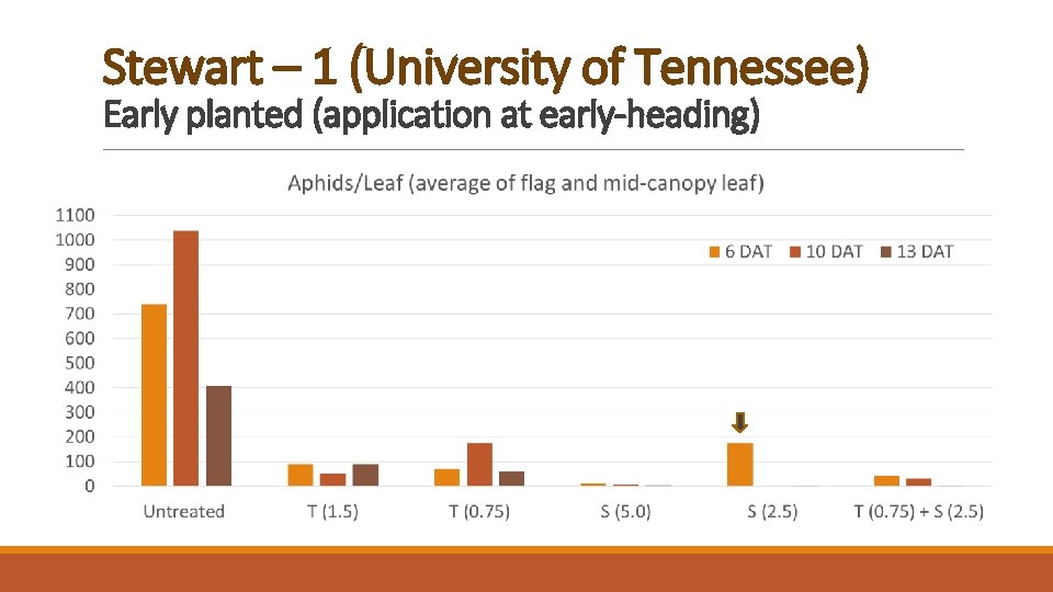 Stewart – 1 (University of Tennessee) Early planted (application at early-heading) 