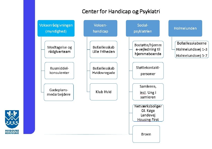 Center for Handicap og Psykiatri 