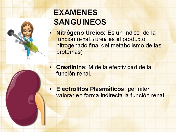 EXAMENES SANGUINEOS • Nitrógeno Ureico: Es un índice de la función renal. (urea es