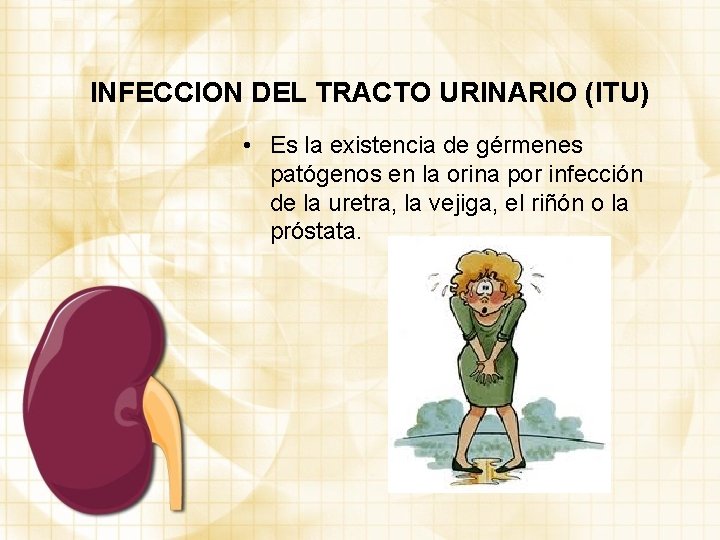 INFECCION DEL TRACTO URINARIO (ITU) • Es la existencia de gérmenes patógenos en la