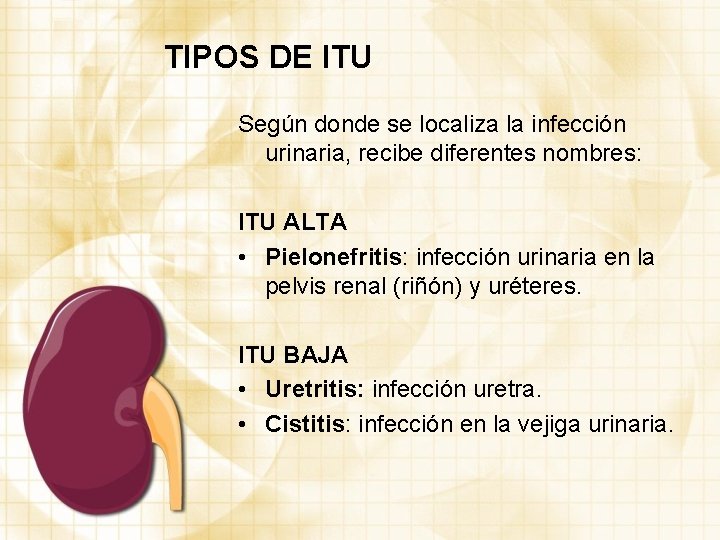 TIPOS DE ITU Según donde se localiza la infección urinaria, recibe diferentes nombres: ITU