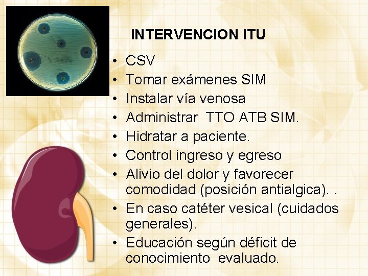 INTERVENCION ITU • • CSV Tomar exámenes SIM Instalar vía venosa Administrar TTO ATB