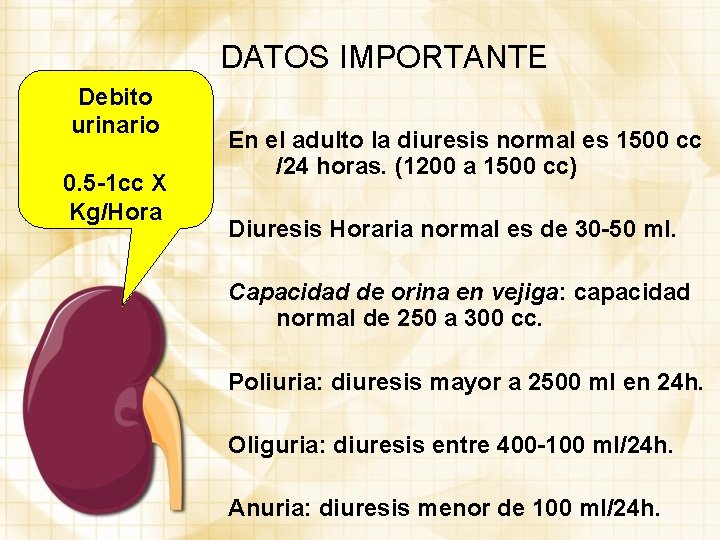 DATOS IMPORTANTE Debito urinario 0. 5 -1 cc X Kg/Hora En el adulto la