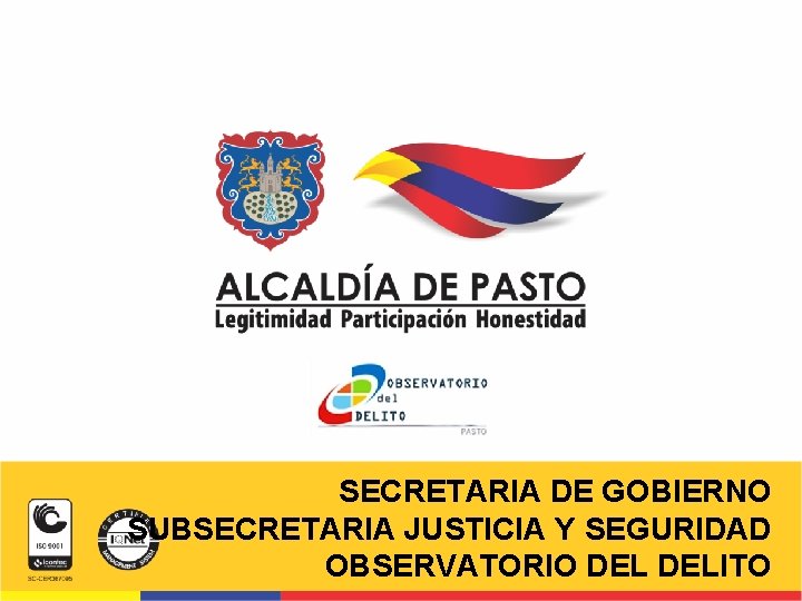 SECRETARIA DE GOBIERNO SUBSECRETARIA JUSTICIA Y SEGURIDAD OBSERVATORIO DELITO 