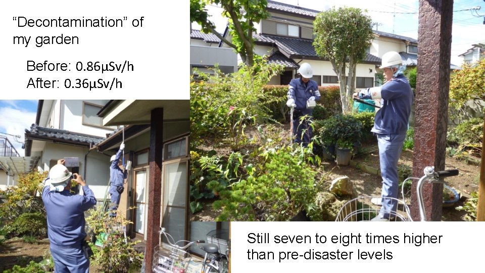 “Decontamination” of my garden Before: 0. 86μSv/h After: 0. 36μSv/h Still seven to eight
