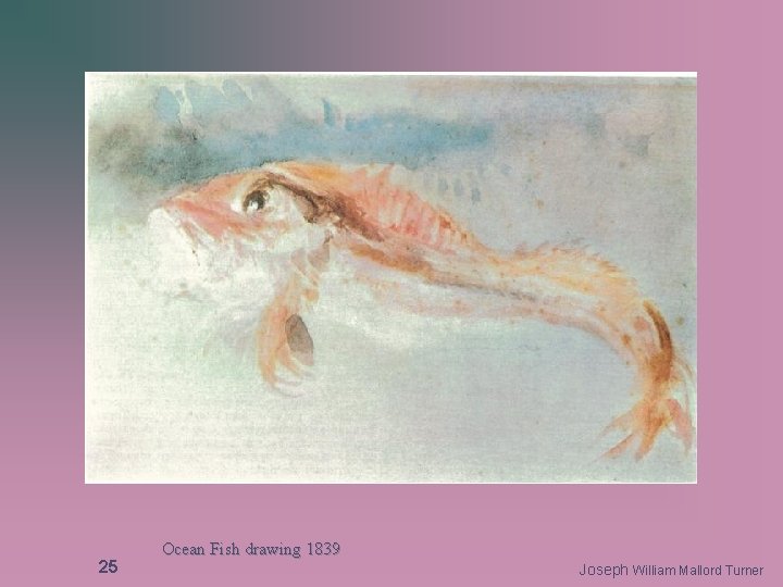 25 Ocean Fish drawing 1839 Joseph William Mallord Turner 