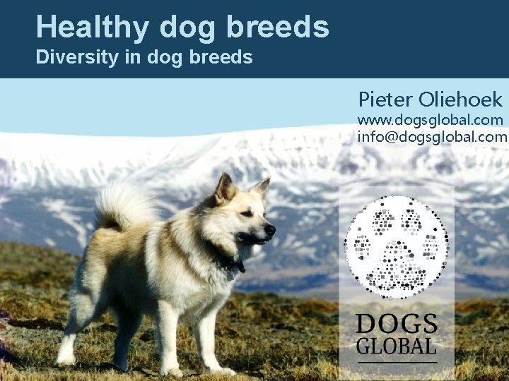 Healthy dog breeds Diversity in dog breeds Pieter Oliehoek www. dogsglobal. com info@dogsglobal. com