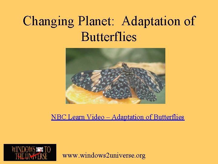 Changing Planet: Adaptation of Butterflies NBC Learn Video – Adaptation of Butterflies www. windows