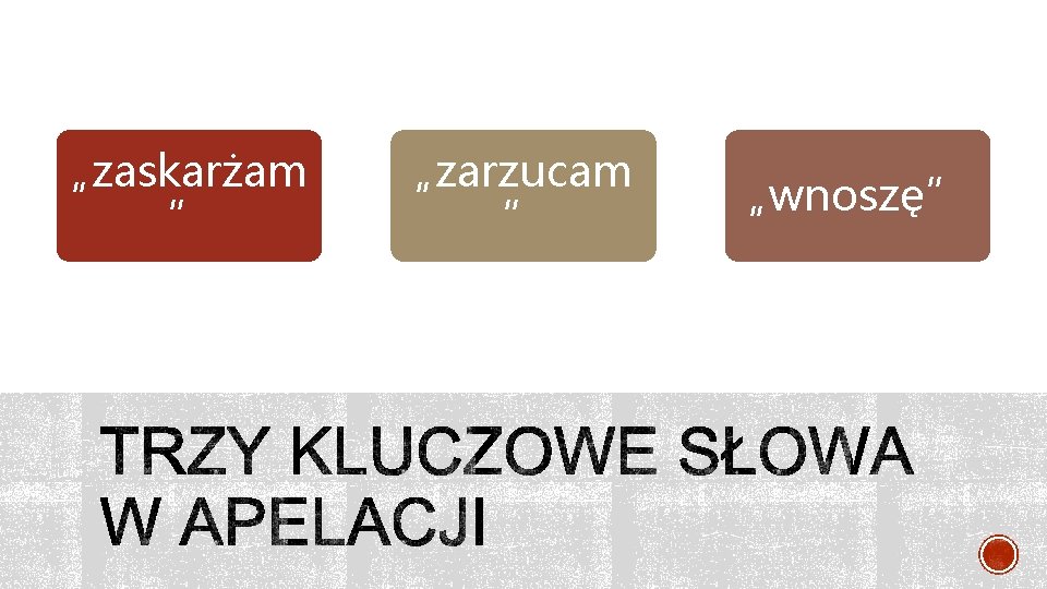 „zaskarżam ” „zarzucam ” „wnoszę” 