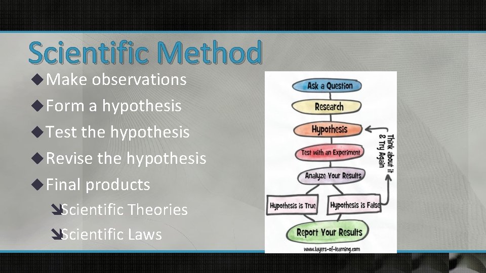 Scientific Method u Make observations u Form a hypothesis u Test the hypothesis u