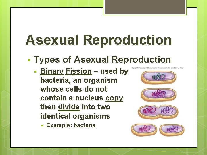 Asexual Reproduction § Types of Asexual Reproduction § Binary Fission – used by bacteria,