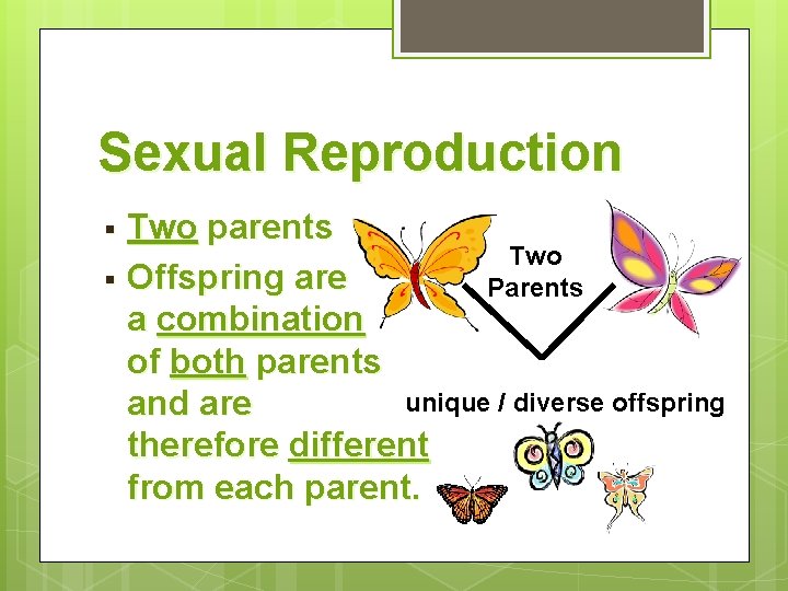 Sexual Reproduction Two parents Two § Offspring are Parents a combination of both parents