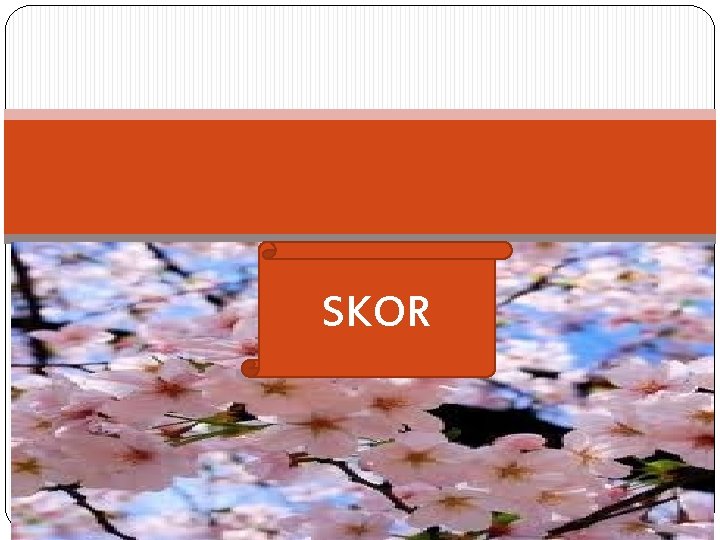 SKOR 