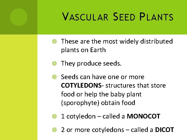 V ASCULAR S EED P LANTS These are the most widely distributed plants on