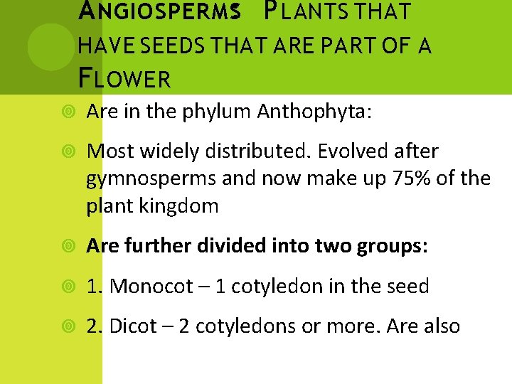 A NGIOSPERMS: P LANTS THAT HAVE SEEDS THAT ARE PART OF A F LOWER