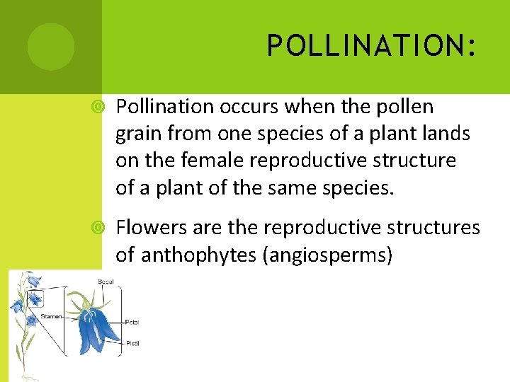 POLLINATION: Pollination occurs when the pollen grain from one species of a plant lands POLLINATION: Pollination occurs when the pollen grain from one species of a plant lands
