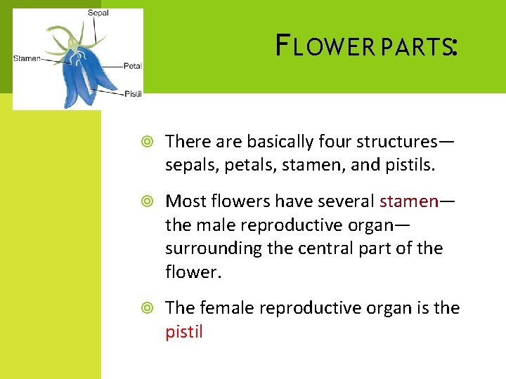 F LOWER PARTS: There are basically four structures— sepals, petals, stamen, and pistils. Most