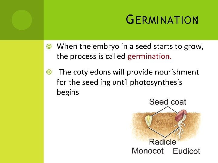 G ERMINATION: When the embryo in a seed starts to grow, the process is