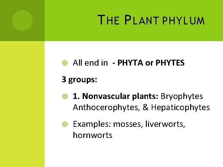 T HE P LANT PHYLUM All end in - PHYTA or PHYTES 3 groups: