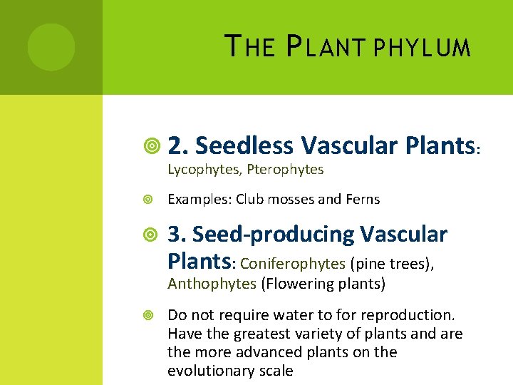 T HE P LANT PHYLUM 2. Seedless Vascular Plants: Lycophytes, Pterophytes Examples: Club mosses