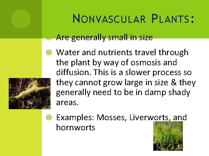 N ONVASCULAR P LANTS : Are generally small in size Water and nutrients travel