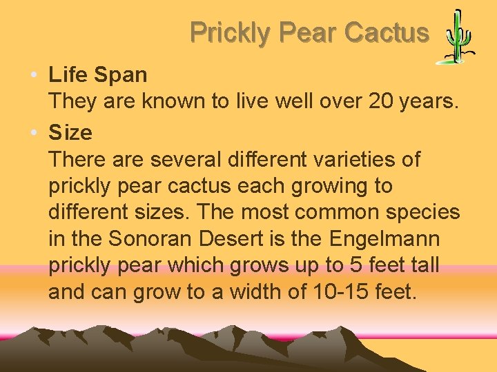 Prickly Pear Cactus • Life Span They are known to live well over 20