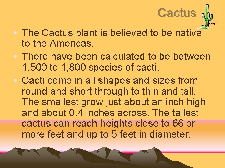 Cactus • The Cactus plant is believed to be native to the Americas. •