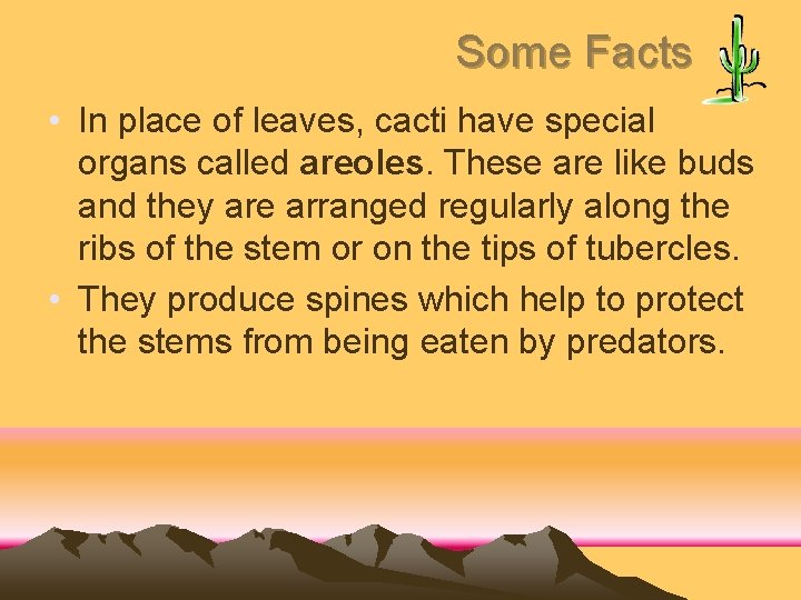 Some Facts • In place of leaves, cacti have special organs called areoles. These