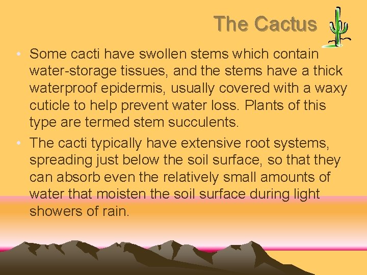 The Cactus • Some cacti have swollen stems which contain water-storage tissues, and the