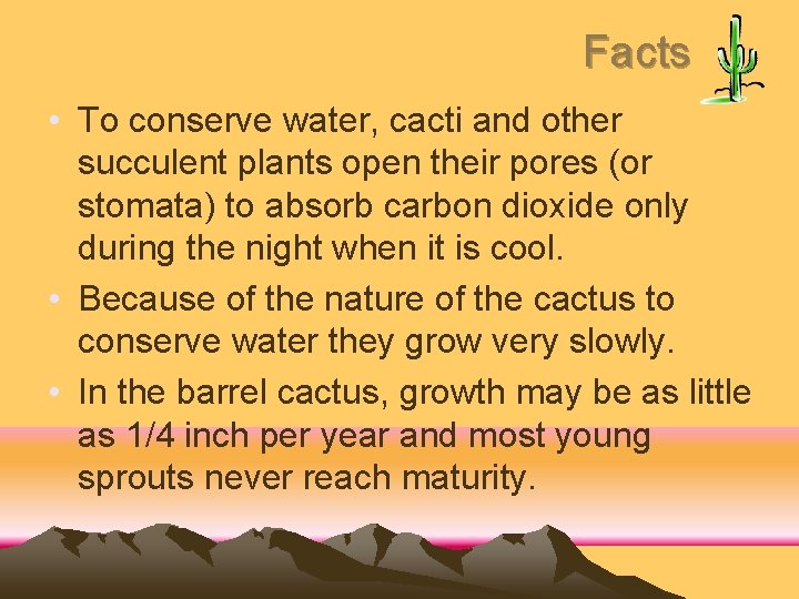 Facts • To conserve water, cacti and other succulent plants open their pores (or